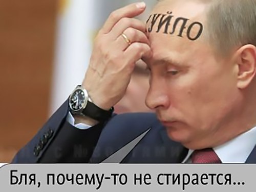 Украина своей рукой отрезает от себя Донбасс. Я уговаривал Порошенко не возобновлять боевые действия, - Путин Украина своей рукой отрезает от себя Донбасс. Я уговаривал Порошенко не возобновлять боевые действия, - Путин