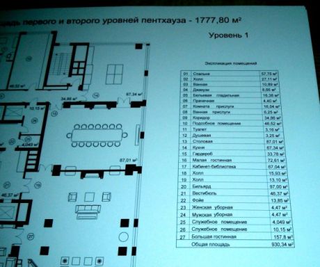 Журналисты анализируют черную бухгалтерию Януковича и хоромы Межигорья