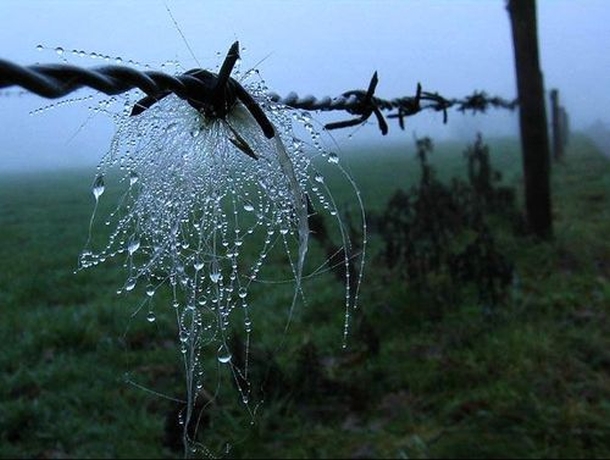 Россия установила границу между Крымом и Украиной Россия установила границу между Крымом и Украиной