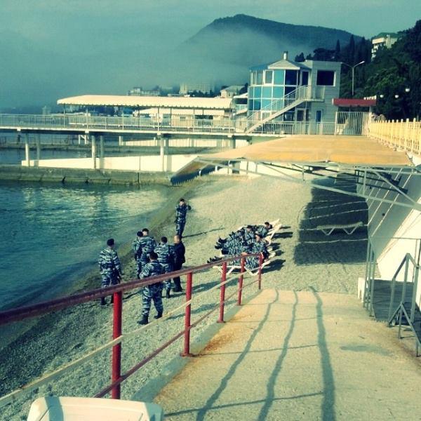 Курортный сезон в Крыму удался: на пляжах Алушты загорает только Беркут. ФОТО дня Курортный сезон в Крыму удался: на пляжах Алушты загорает только Беркут. ФОТО дня