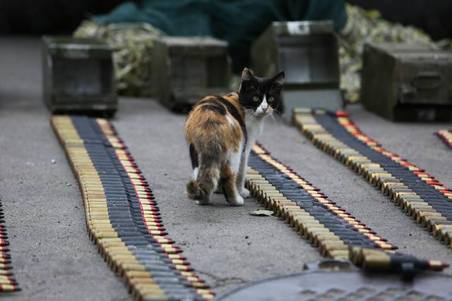 Украинские воины на страже Мариуполя. ФОТОрепортаж из зоны АТО