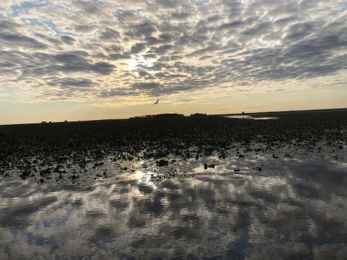 Критическое состояние р.Днепр и других водоемов Украины