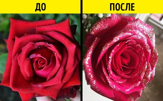 Как правильно выбрать букет в подарок? Как выбрать красивый и свежий букет? Простые правила и советы