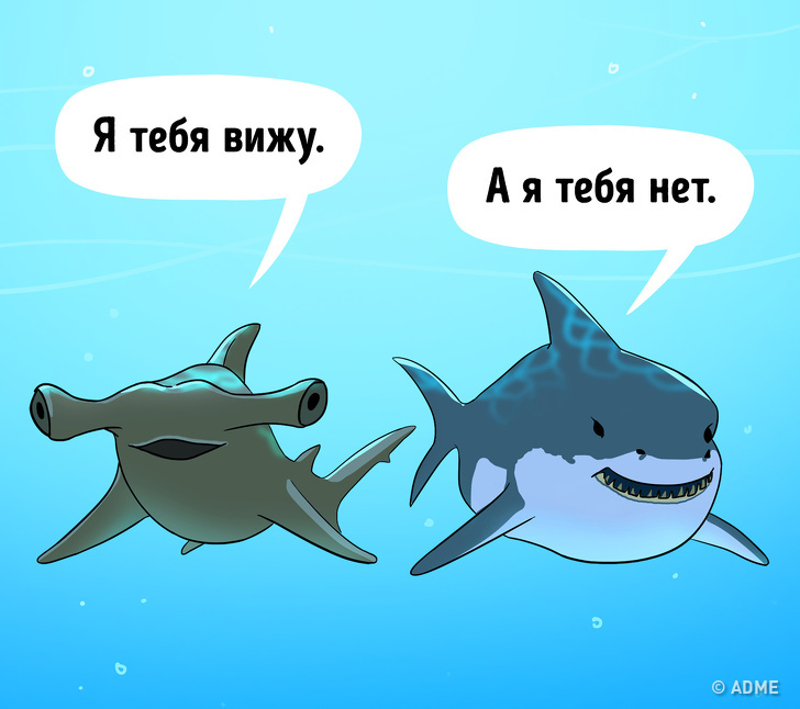 Детские вопросы, на которые не знают ответа даже взрослые Ответы на детские вопросы