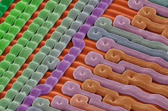 Поверхность кремниевого микрочипа - Обычные вещи под микроскопом