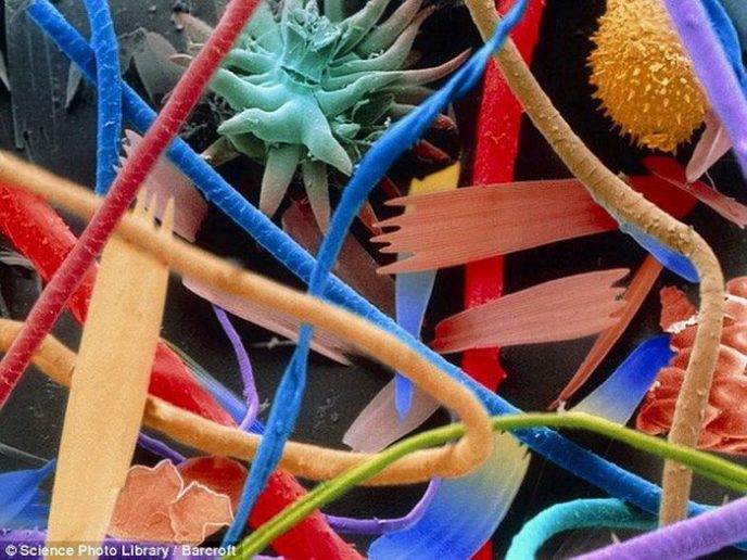 Бытовая пыль - Обычные вещи под микроскопом