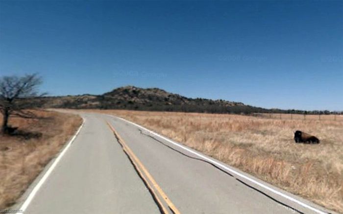Приколы Google Street View Приколы Google Street View