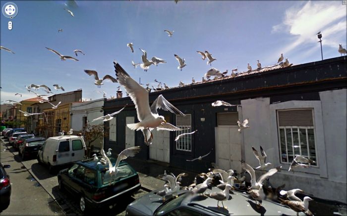 Приколы Google Street View Приколы Google Street View