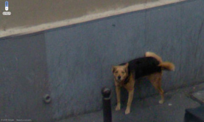 Приколы Google Street View Приколы Google Street View