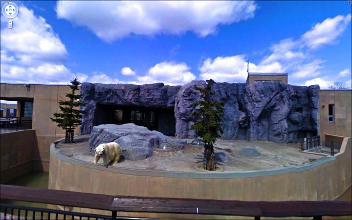 Приколы Google Street View Приколы Google Street View