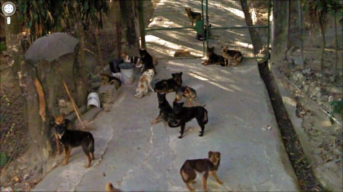 Приколы Google Street View Приколы Google Street View