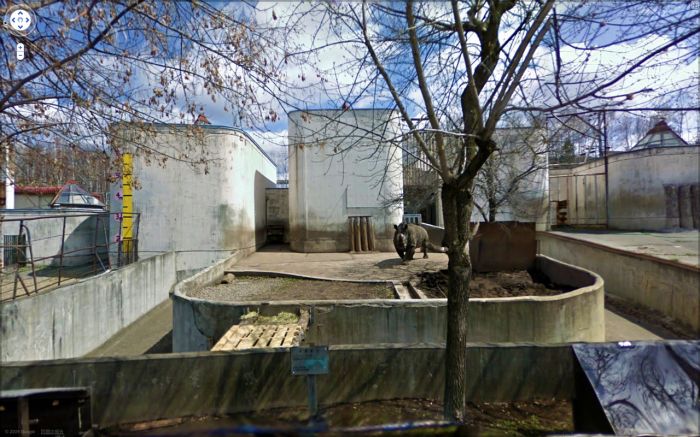 Приколы Google Street View Приколы Google Street View