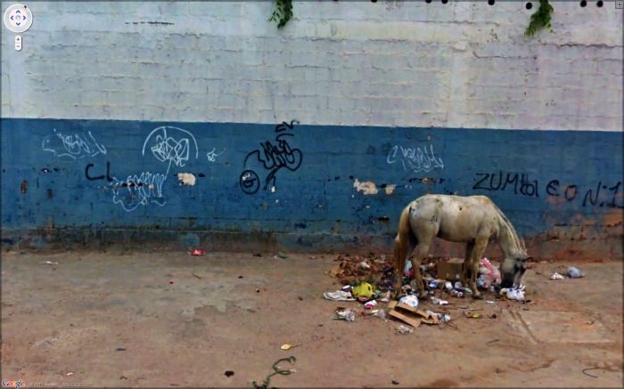 Приколы Google Street View Приколы Google Street View