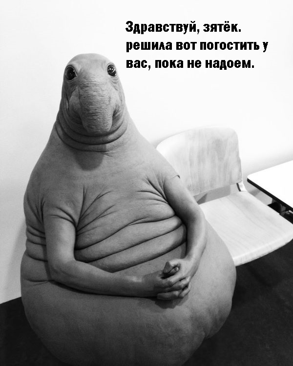 Ждун — самый милый мем Ждун — самый милый мем