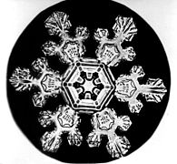 Снимки снежинок Снимки снежинок