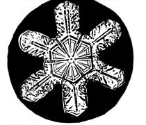 Снимки снежинок Снимки снежинок