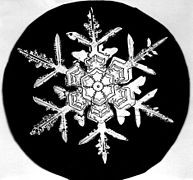 Снимки снежинок Снимки снежинок
