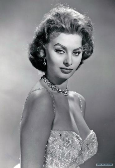 Актриса, Певица, Шикарная Софи Лорен (Sophia Loren)