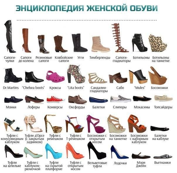 Женская обувь Женская обувь