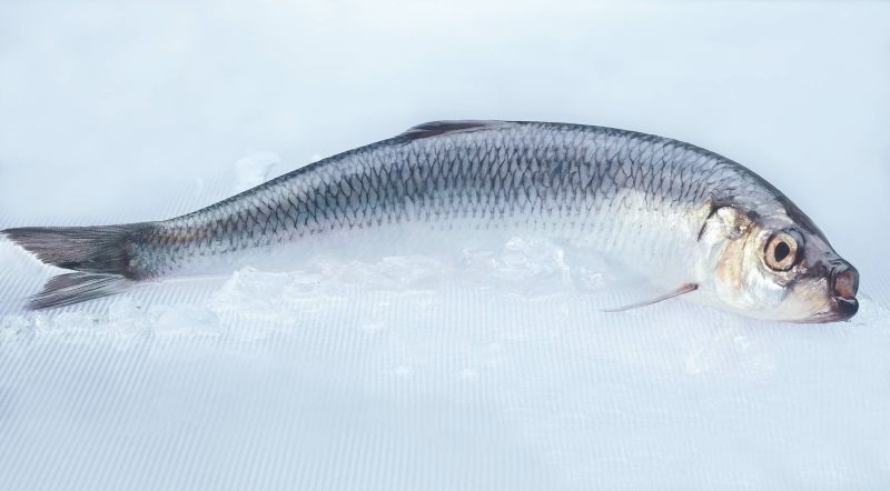 Как одним движением очистить селедку от костей Как одним движением очистить селедку от костей