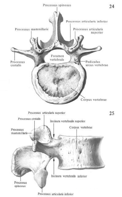 Рисунок 1