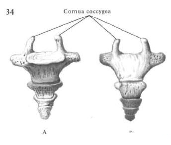 Рисунок 1