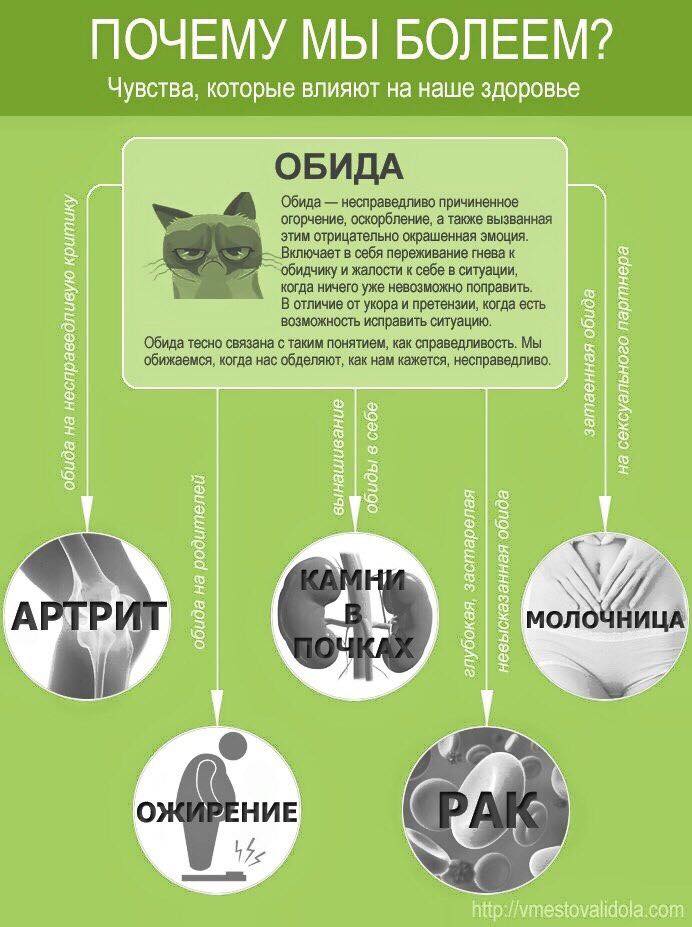 Классная инфографика о связи тела и души. Почему мы болеем. Психосоматика.