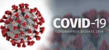 Коронавирусная инфекция COVID-19 – это...