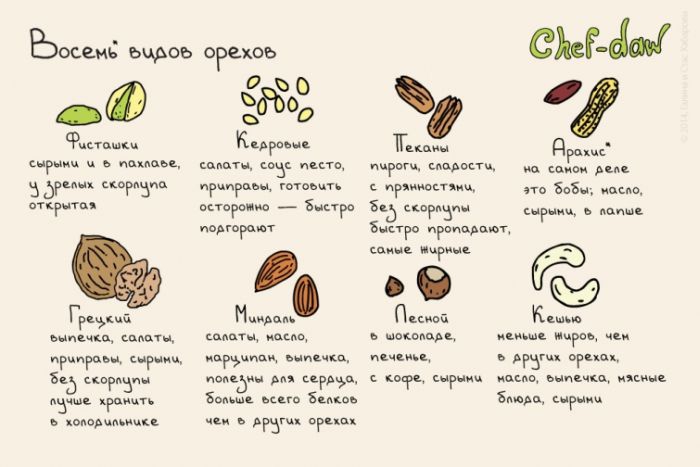 Восемь видов орехов - Кулинарные советы в картинках Восемь видов орехов - Кулинарные советы в картинках