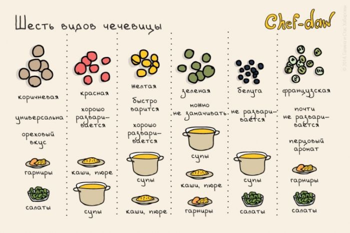 Шесть видов чечевицы - Кулинарные советы в картинках Шесть видов чечевицы - Кулинарные советы в картинках
