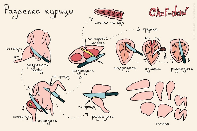 Разделка курицы - Кулинарные советы в картинках Разделка курицы - Кулинарные советы в картинках