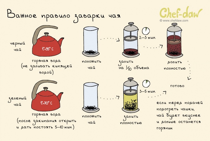 Важное правило заварки чая - Кулинарные советы в картинках Важное правило заварки чая - Кулинарные советы в картинках