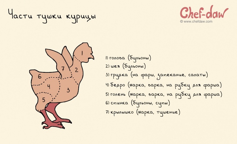 Части тушки курицы - Кулинарные советы в картинках Части тушки курицы - Кулинарные советы в картинках