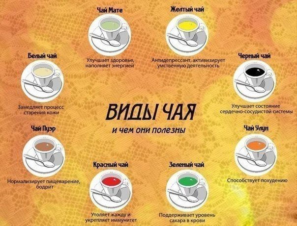 Салат с апельсинами - Кулинарные советы в картинках Салат с апельсинами - Кулинарные советы в картинках