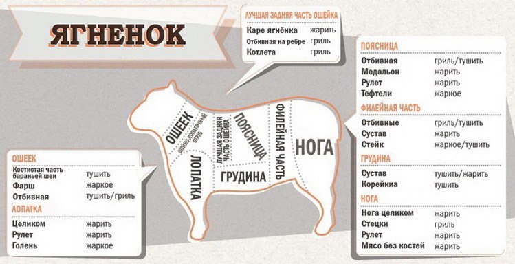 Салат с апельсинами - Кулинарные советы в картинках Салат с апельсинами - Кулинарные советы в картинках