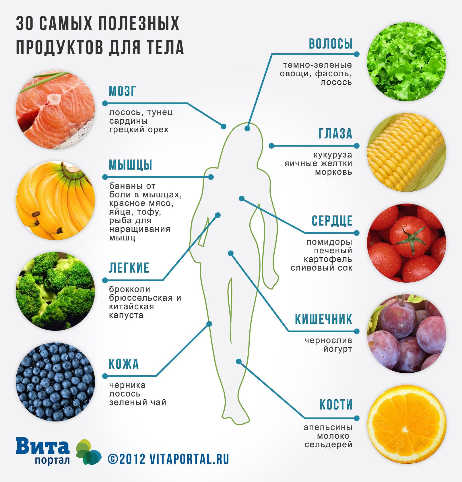 Салат с апельсинами - Кулинарные советы в картинках Салат с апельсинами - Кулинарные советы в картинках