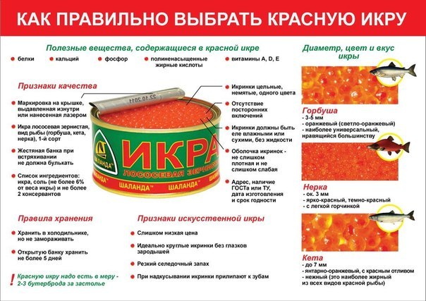 Салат с апельсинами - Кулинарные советы в картинках Салат с апельсинами - Кулинарные советы в картинках