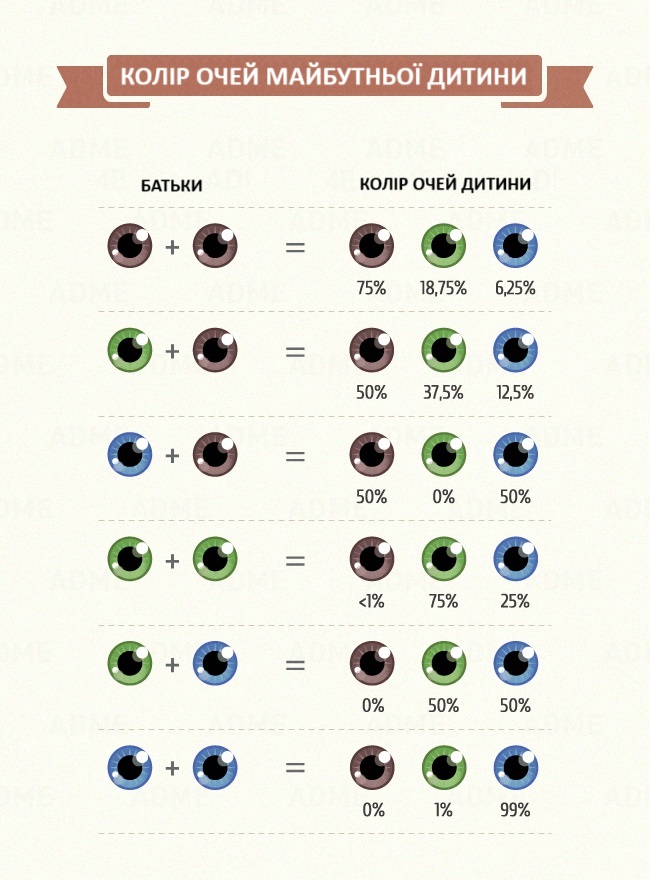 Какого цвета будут глаза у моего ребёнка?