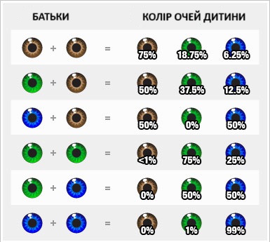 Цвет глаз: как передается от родителей ребенку. Рассчитать цвет глаз ребенка