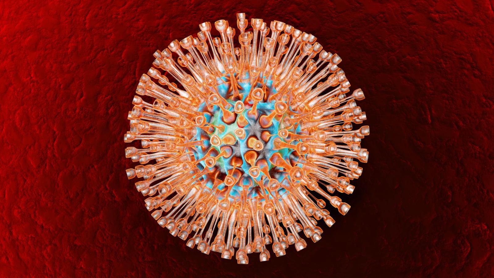 Удивительные факты о вирусах