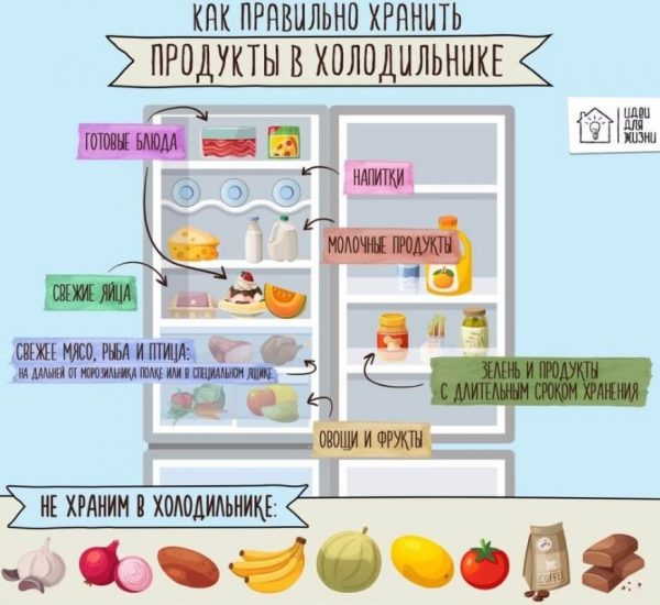 Как и где хранить разные продукты?