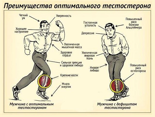 Как повысить уровень тестостерона без стероидов Как повысить уровень тестостерона без стероидов