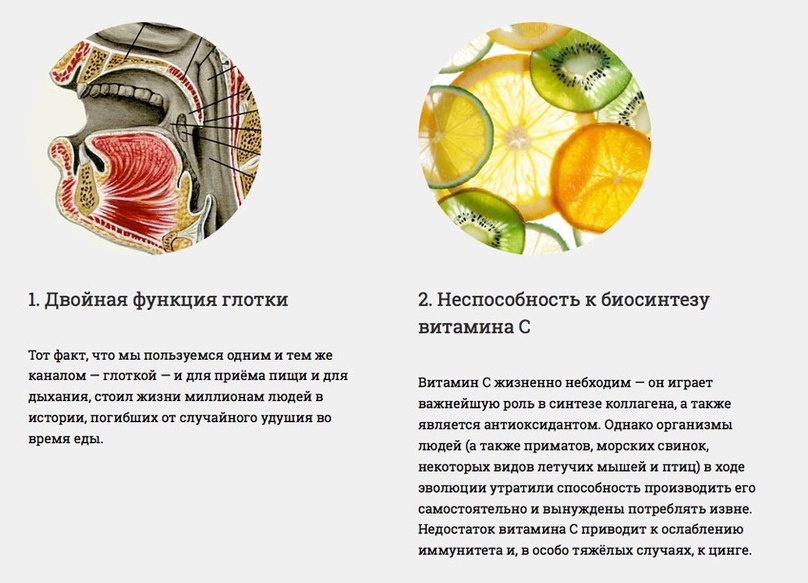 Наше тело несовершенно Наше тело несовершенно