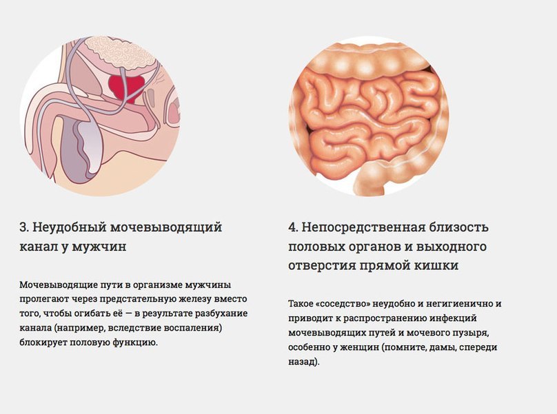 Наше тело несовершенно Наше тело несовершенно