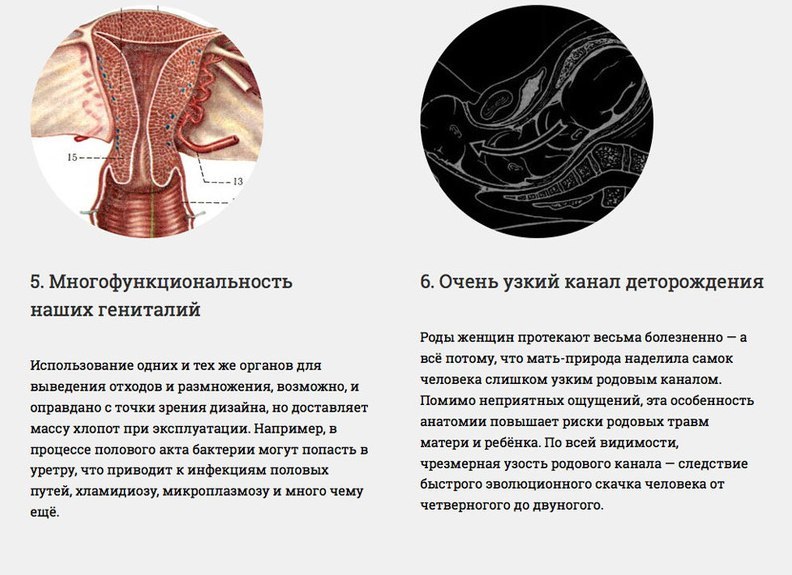 Наше тело несовершенно Наше тело несовершенно
