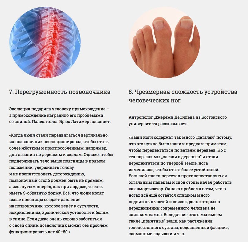 Наше тело несовершенно Наше тело несовершенно