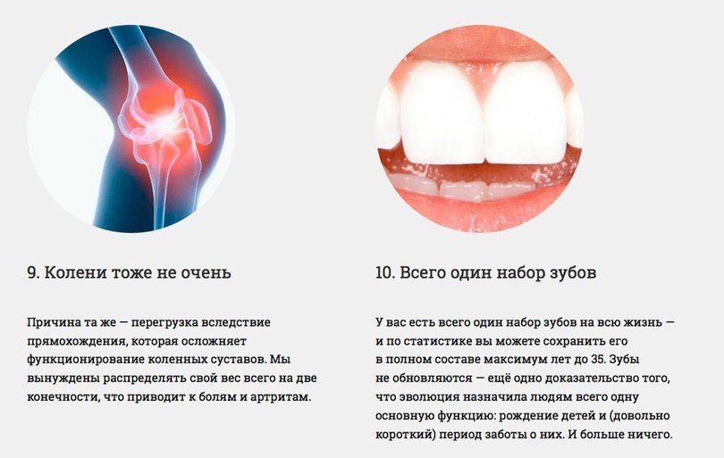 Наше тело несовершенно Наше тело несовершенно
