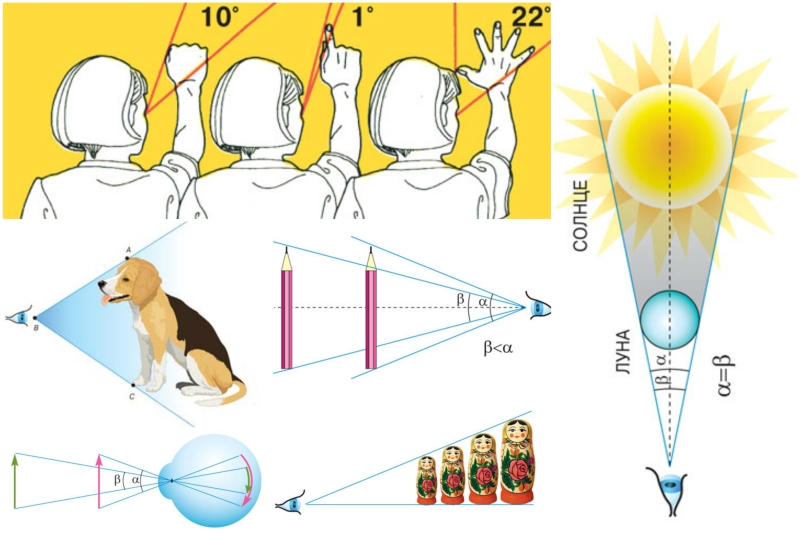 Секреты зрения и наука геометрия