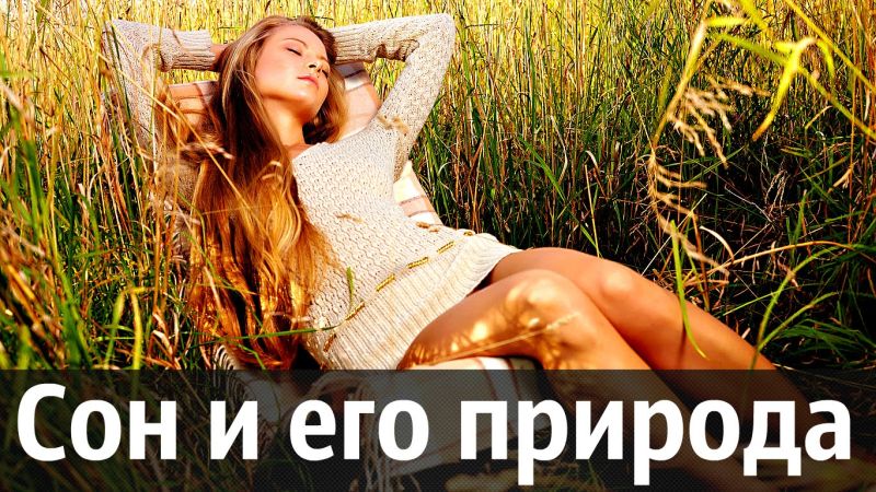 Сон как причина усталости Сон как причина усталости