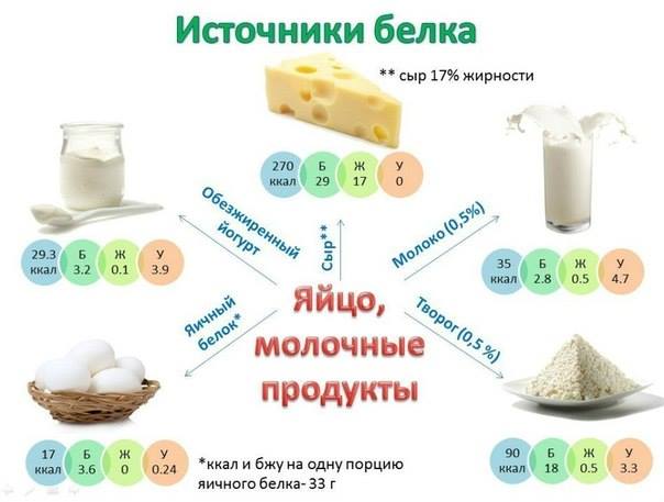 Источники протеина (белка) Источники протеина (белка)